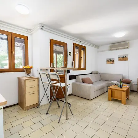 Apartment Lovely In With Kitchen